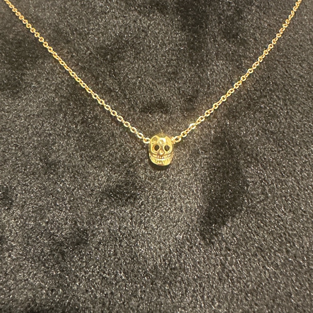 Tiny skull Necklace.   18in long.